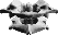 vertebra